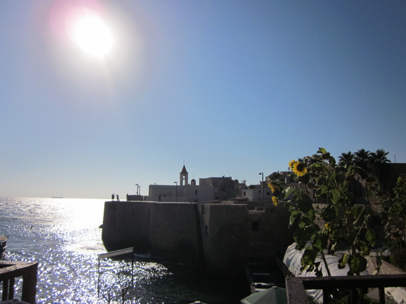 © Torsten Sternberg Akko