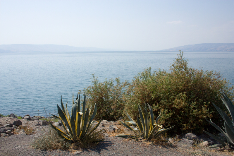 © Torsten Sternberg See Genezareth