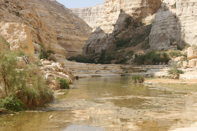 © Torsten Sternberg En Avdat