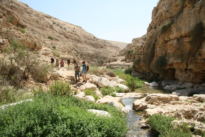 © Torsten Sternberg Wadi Darga