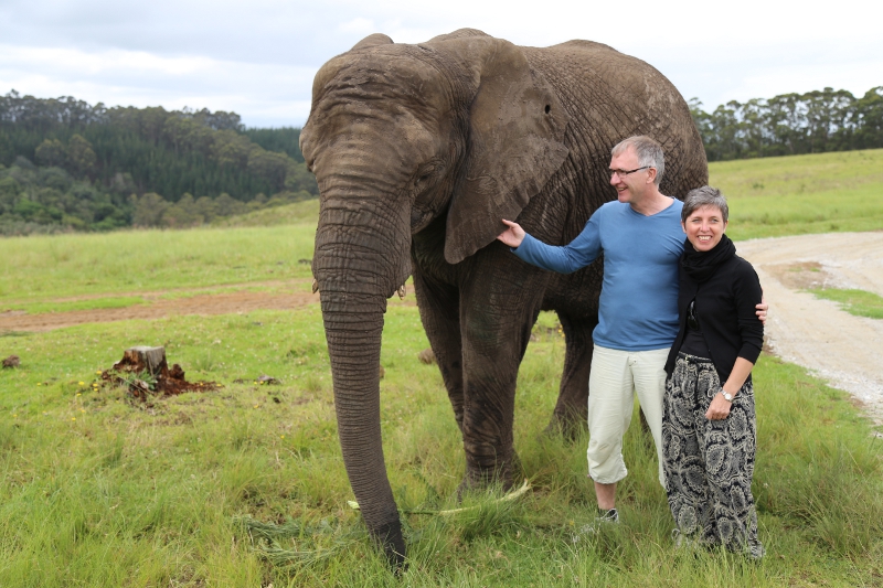 © Torsten Sternberg Elefanten in Knysna