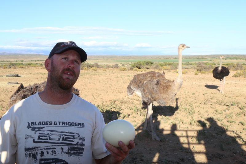 © Torsten Sternberg auf einer Straußenfarm