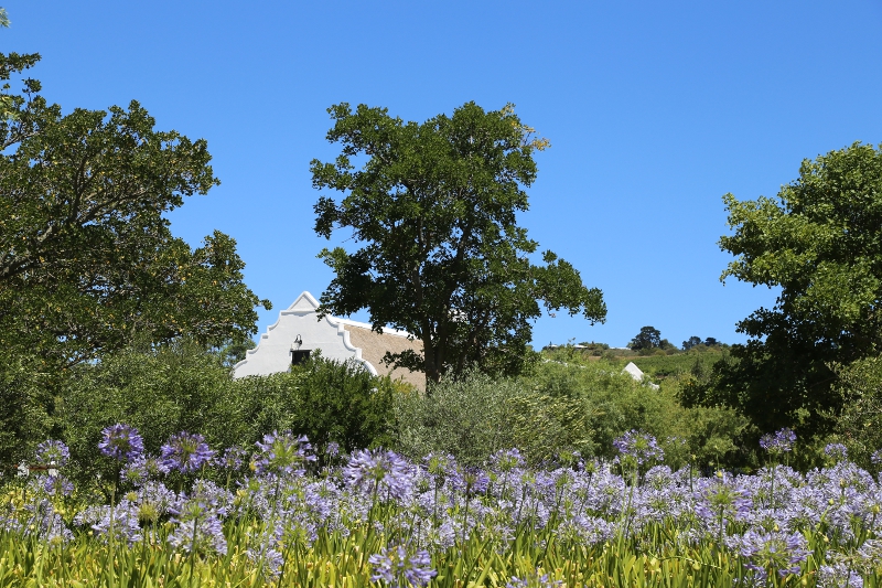 © Torsten Sternberg Winelands